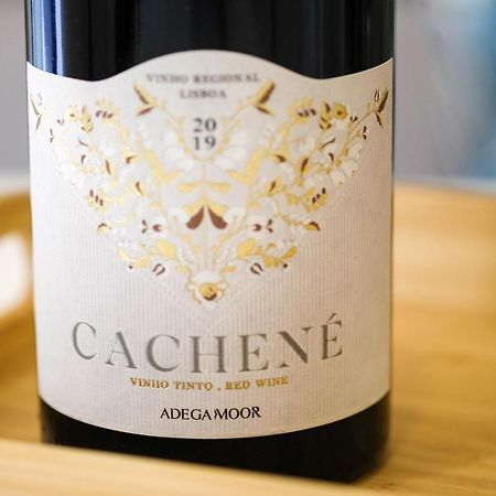 Casinha Cachene Διαμέρισμα Ναζαρέ Εξωτερικό φωτογραφία